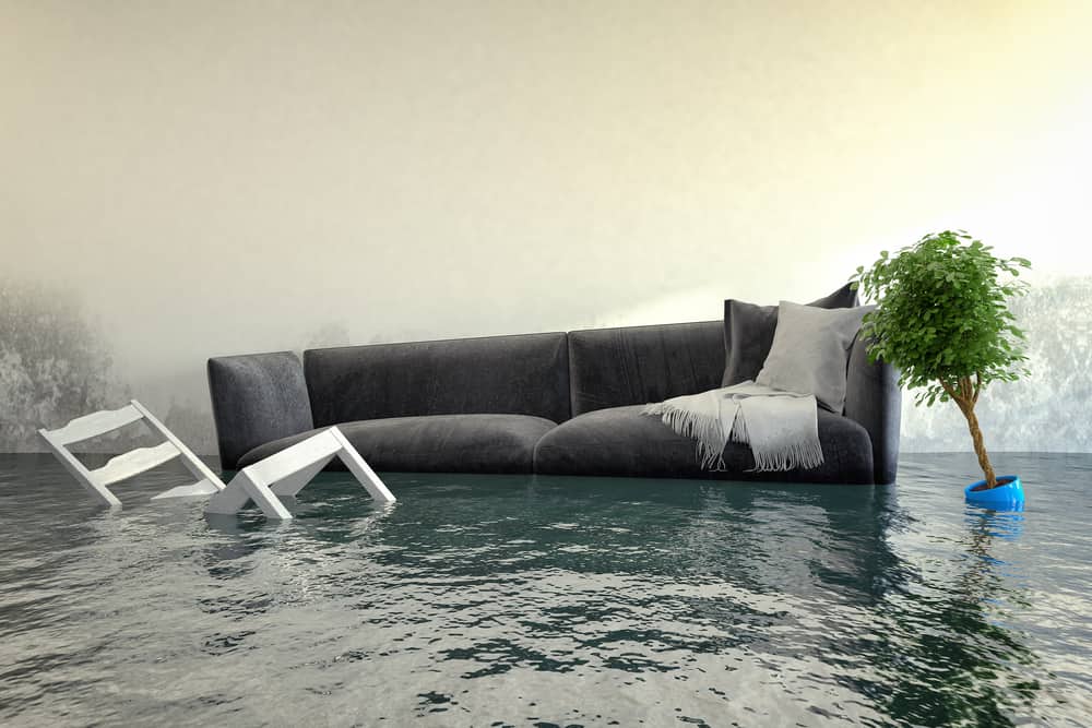 HOW DOES THE WATER DAMAGE RESTORATION PROCESS WORK?